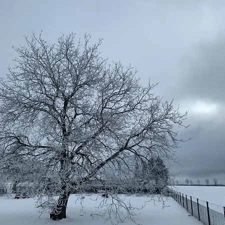 Spreewaelder Ferienhaeuser Am Berste - Ufer *