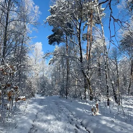 Spreewaelder Ferienhaeuser Am Berste - Ufer *