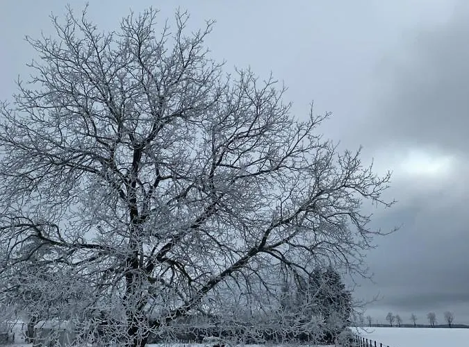 Spreewaelder Ferienhaeuser Am Berste - Ufer *