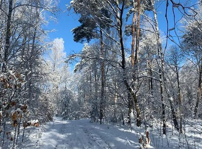 Spreewaelder Ferienhaeuser Am Berste - Ufer *